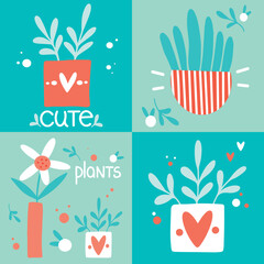 Collection of home plant on blue backgrounds. Home plants in a pots with ornament. Images with a flowers in a cute style for different designs.