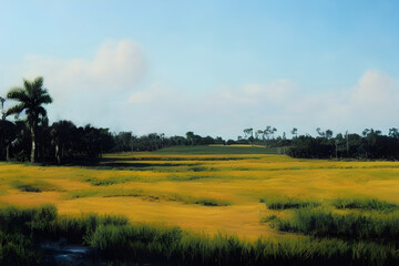 Swampy marshland. Palm trees. Tropical forest. 