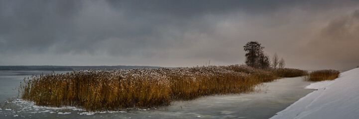 gloomy winter landscape. widescreen side panoramic view from the coast of a frozen lake to a small island overgrown with reeds and bushes in bad weather under a dramatic sky