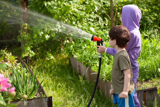 Cute girl and boy watering flowers in the garden at summer day. Funny kids watering plants in the yard garden.