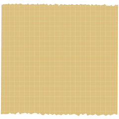 Square Grid Memo Note Paper