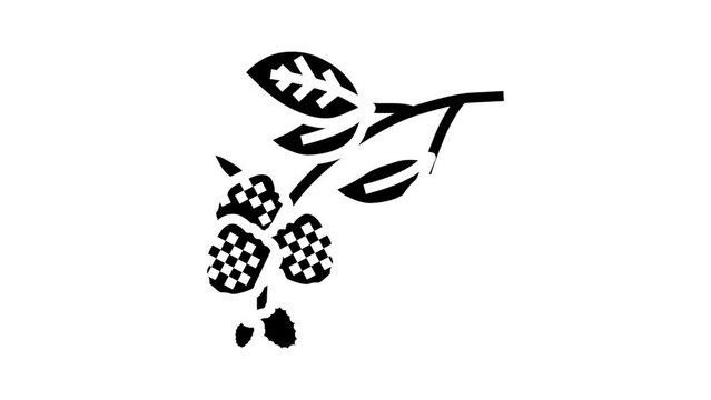 branch plant blackberry glyph icon animation