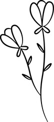 Flower line art  hand drawn illustration