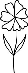Flower line art  hand drawn illustration