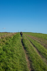 Walking on the Southdown Way