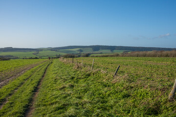 Obraz premium Walking on the Southdown Way