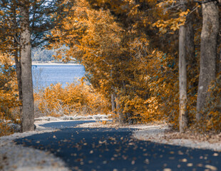 Nature Autumn Pathway