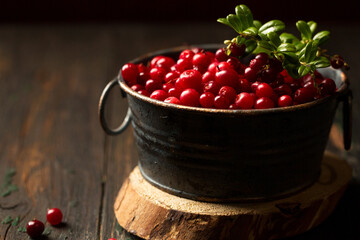 ripe lingonberry berry in a metal bowl on a wooden background