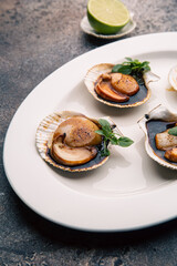 Scallop in sauce garnished with herbs