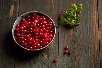 ripe lingonberry berry in a metal bowl, top view