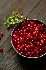 Fresh lingonberry berry in a metal bowl, top view