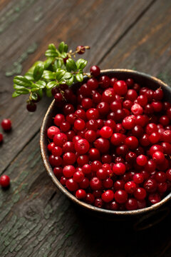 Fresh lingonberry berry in a metal bowl, top view