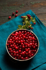 lingonberry berry in a bowl, top view