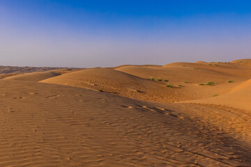 The vastness of the Wahiba Sands Desert in Oman
