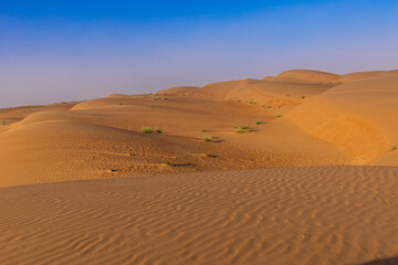Fototapeta na wymiar The vastness of the Wahiba Sands Desert in Oman
