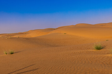 Fototapeta na wymiar The vastness of the Wahiba Sands Desert in Oman