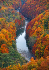 Tara canyon in Montenegro. Autumn scene