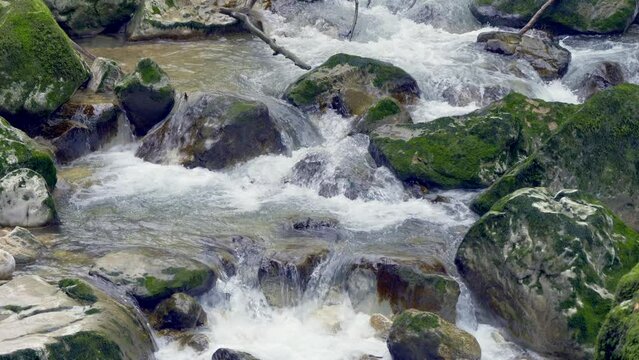 Closeup of a river flowing on mossy rocks in a field in the daylight