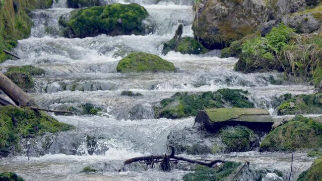 Closeup of a river flowing on mossy rocks in a field in the daylight