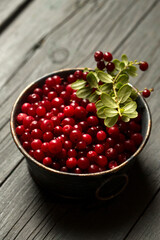 fresh lingonberry berries