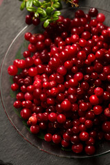 Delicious fresh lingonberry berries on a stone board