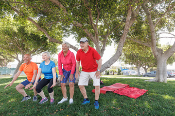 gruppo di anziani felici vestiti con abiti sportivi , fa esercito fisico in un parco cittadino