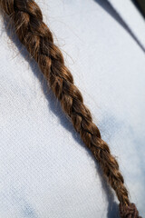 braid hair on a semi white background