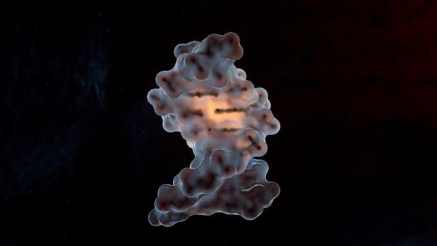 Fragment of a spiral strand of DNA on the dark background. 3D animation
