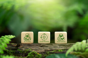 BCG concept for sustainable economy development. Bio economy, circle economy, green economy.wooden...