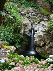 Cascade et jardin fleuri d'hydrangea à Ribeira dos Caldeiroes sur la commune d'Achada sur l'île...