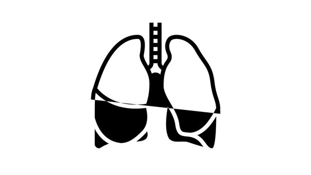 lung human organ line icon animation