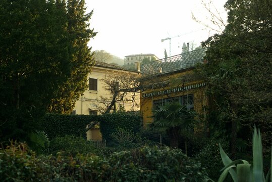 Beautiful yellow buildings in the background of the bushes and trees near lake Como in Italy