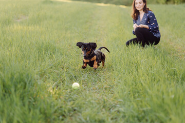 young girl on a walk with her dachshund
