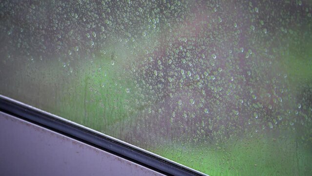 Video de chuva a bater num jardim verde. Com arvores e casas abandonadas.