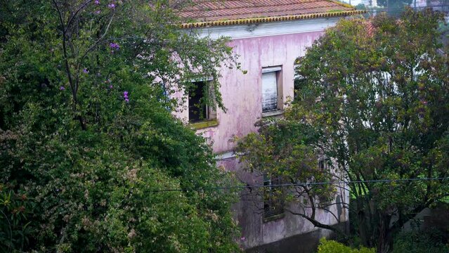 Video de chuva a bater num jardim verde. Com arvores e casas abandonadas.