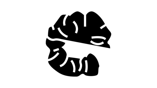 scrunchies silk glyph icon animation