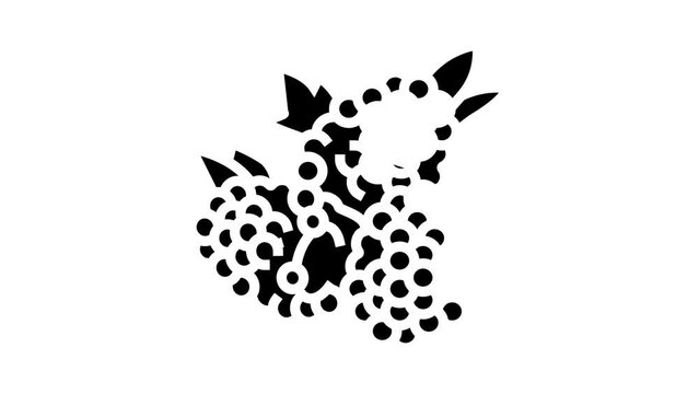 raspberry berry glyph icon animation