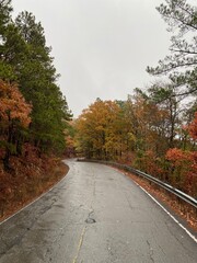 road in autumn