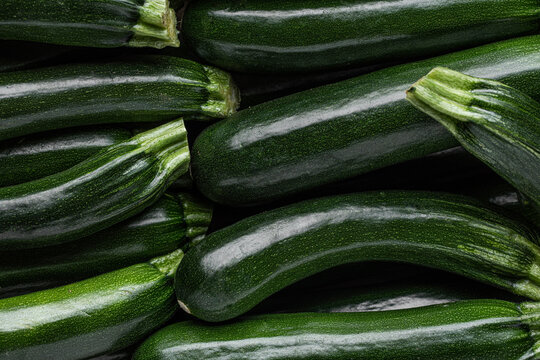 Closeup of ripe green zucchini