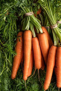Heap of fresh delicious carrots