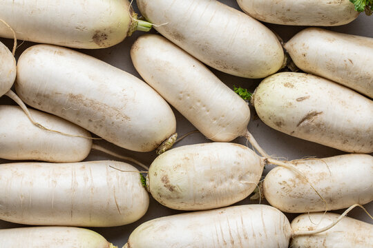 Raw daikon white radishes harvest