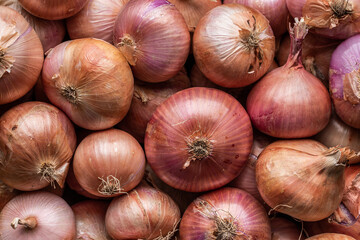 Assorted unpeeled onions in market