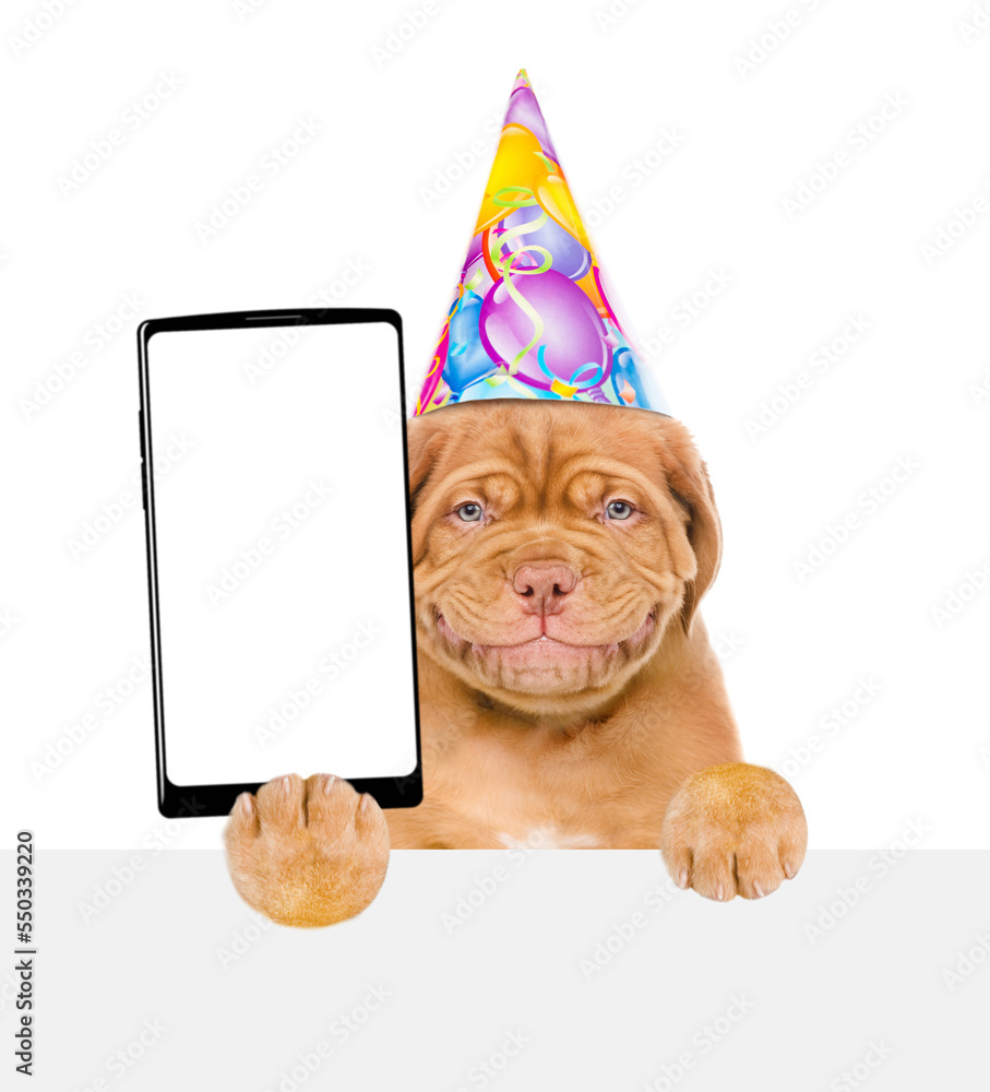 Poster smiling mastiff puppy wearing party cap holds big smartphone with white blank screen in it paw, show