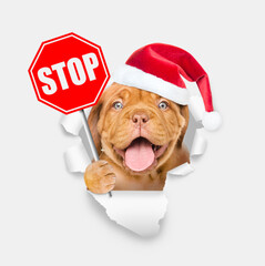 Happy puppy wearing red santa hat looking through a hole in yellow paper and showing stop sign