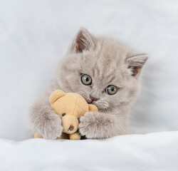 Playful kitten embraces favorite toy bear under white warm blanket on a bed at home.Top down view