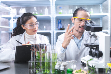 medicine chemical research with organic nature herbal plant in science laboratory, cosmetic extract liquid chemistry oil in glassware, leaf biology of beauty medicals care serum product experiment