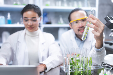 eco skin care beauty products in laboratory development concept, Natural drug research with organic plants and scientific extraction in glassware, Alternative green herb medicine for body health care