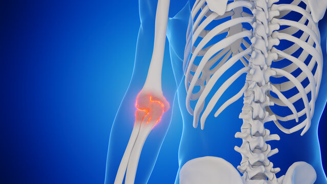 3d rendered medical illustration of a man's elbow joint