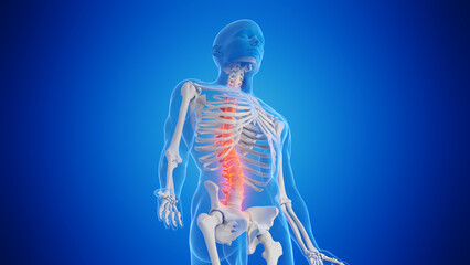 3d rendered medical illustration of a man's spine