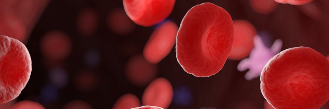 3d rendered medical illustration of circulating blood cells